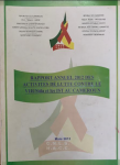 Rapport annuel 2012 des activites de lutte contre le Vih , le Sida et les ist au Cameroun, N&deg;11